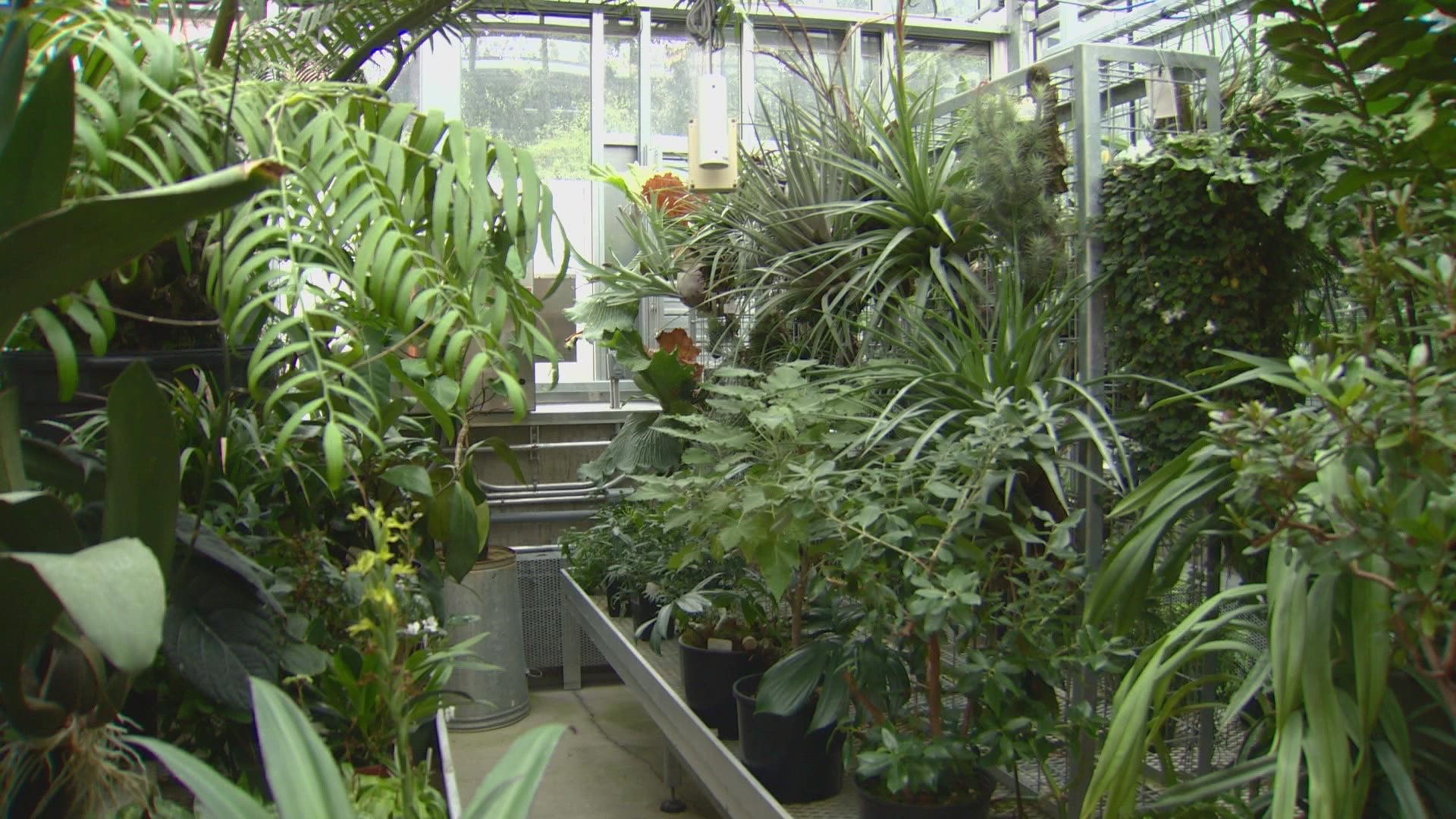 The 20,000 sq ft space contains thousands of species from many different biomes found all over the world