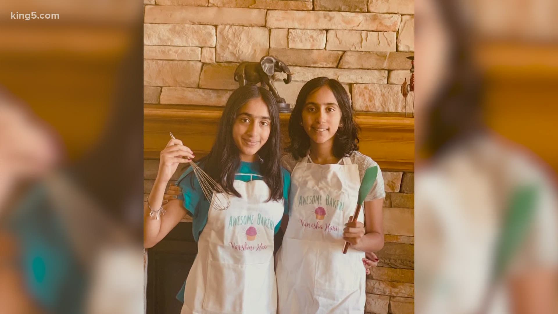 Vanesha Hari, 14, and her sister Varshini, 12, created JoysofGiving.org to raise money for kids in need and to host classes on cooking and STEM.