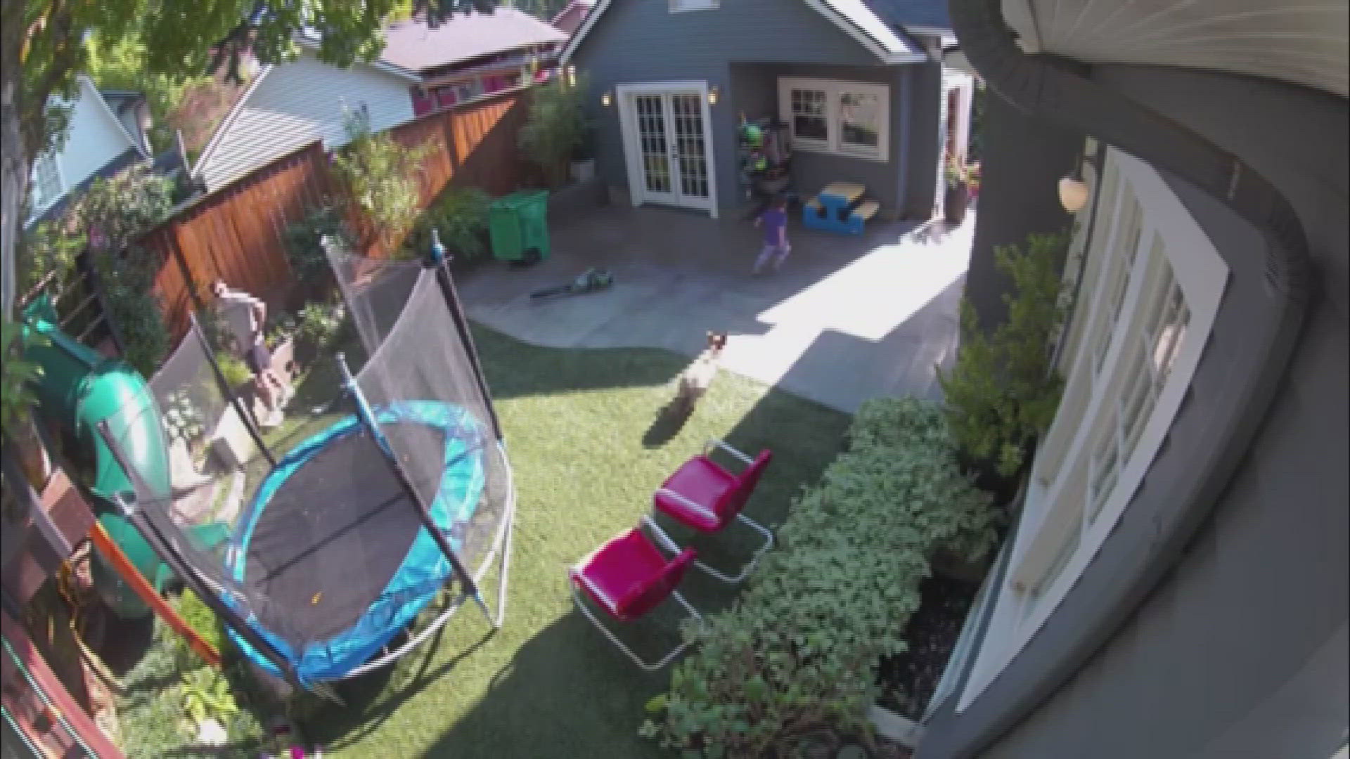 Backyard surveillance video catches the moment a 4-year-old is seen running away from a coyote chasing close behind her.