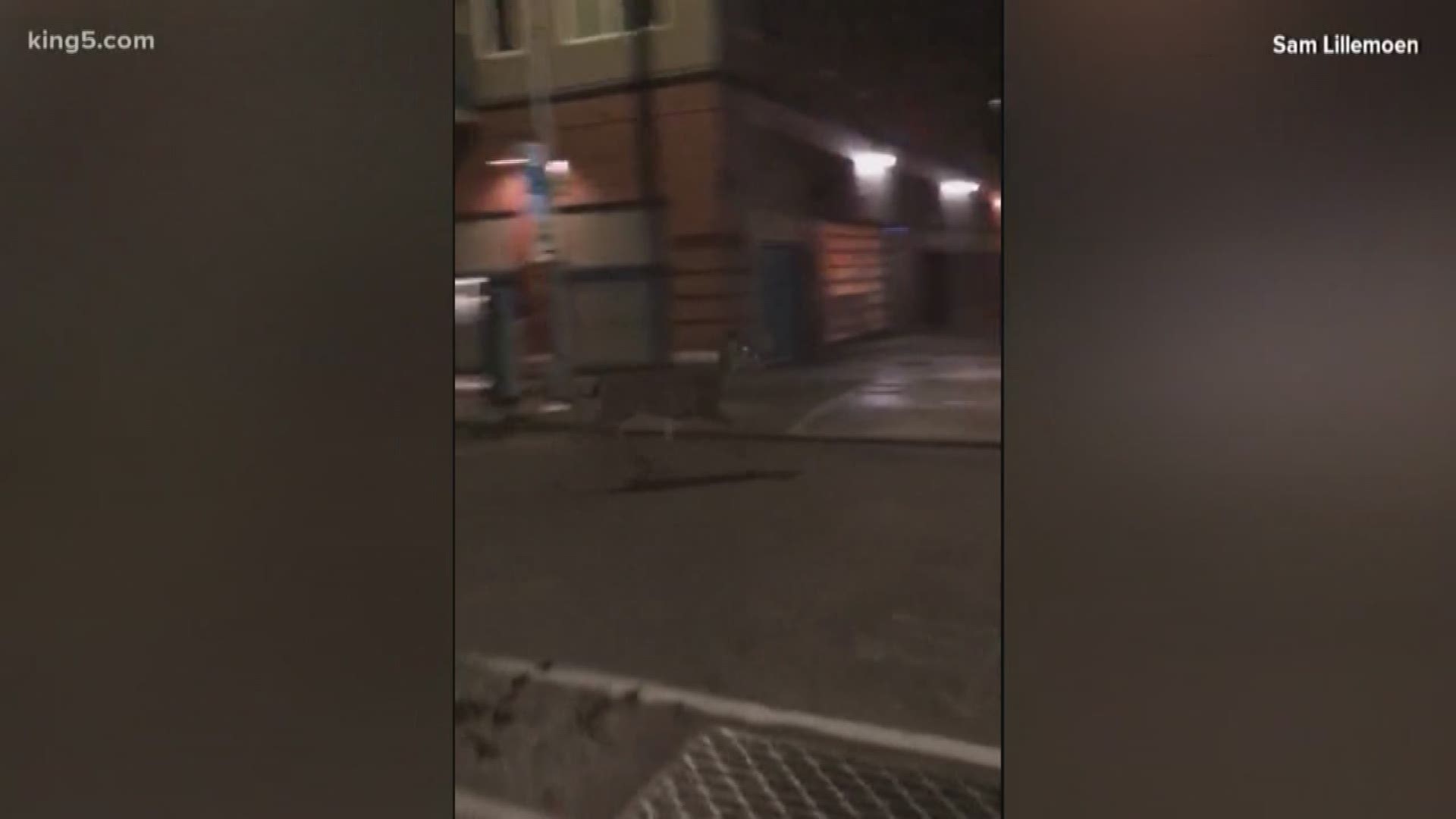 Sam Lillemoen took video of a deer running through Seattle's Belltown neighborhood.