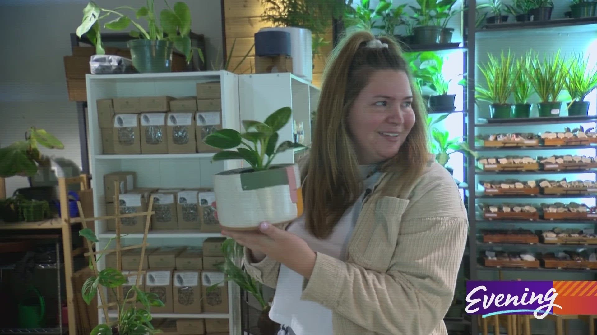 If you dream of having a green thumb, this plant shop can help.