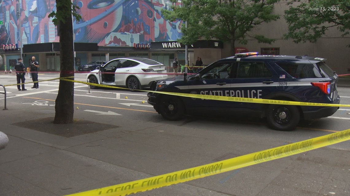 No trial in downtown Seattle shooting after experts agree gunman was insane