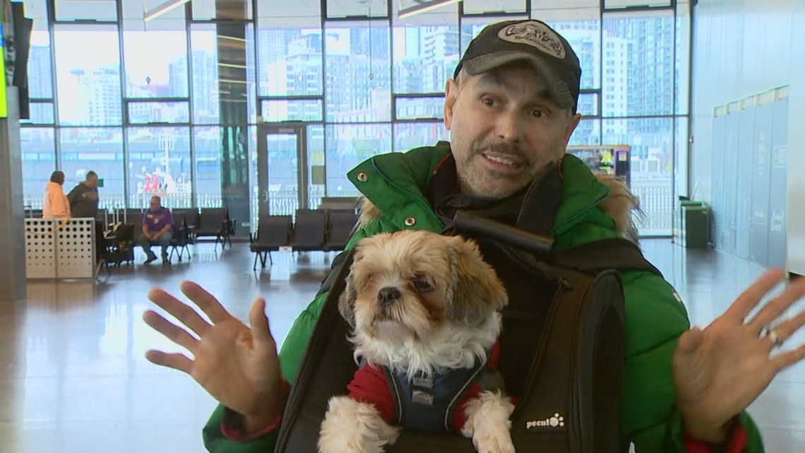 Thanksgiving travel takes off — and the dogs are coming too