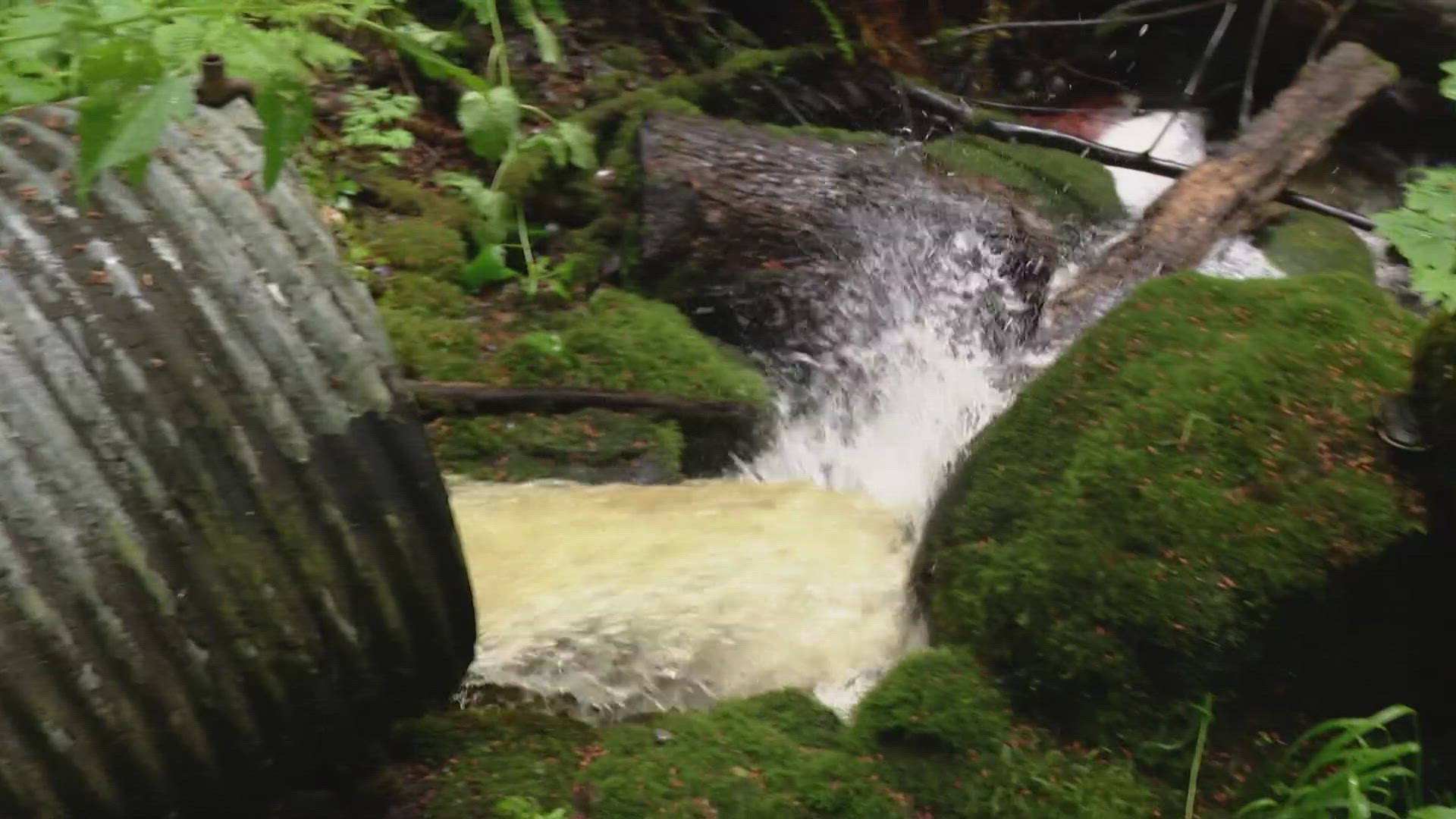 Federal grants totaling $39.4 million from the National Oceanic Atmospheric Administration will go toward nine different salmon culvert projects.