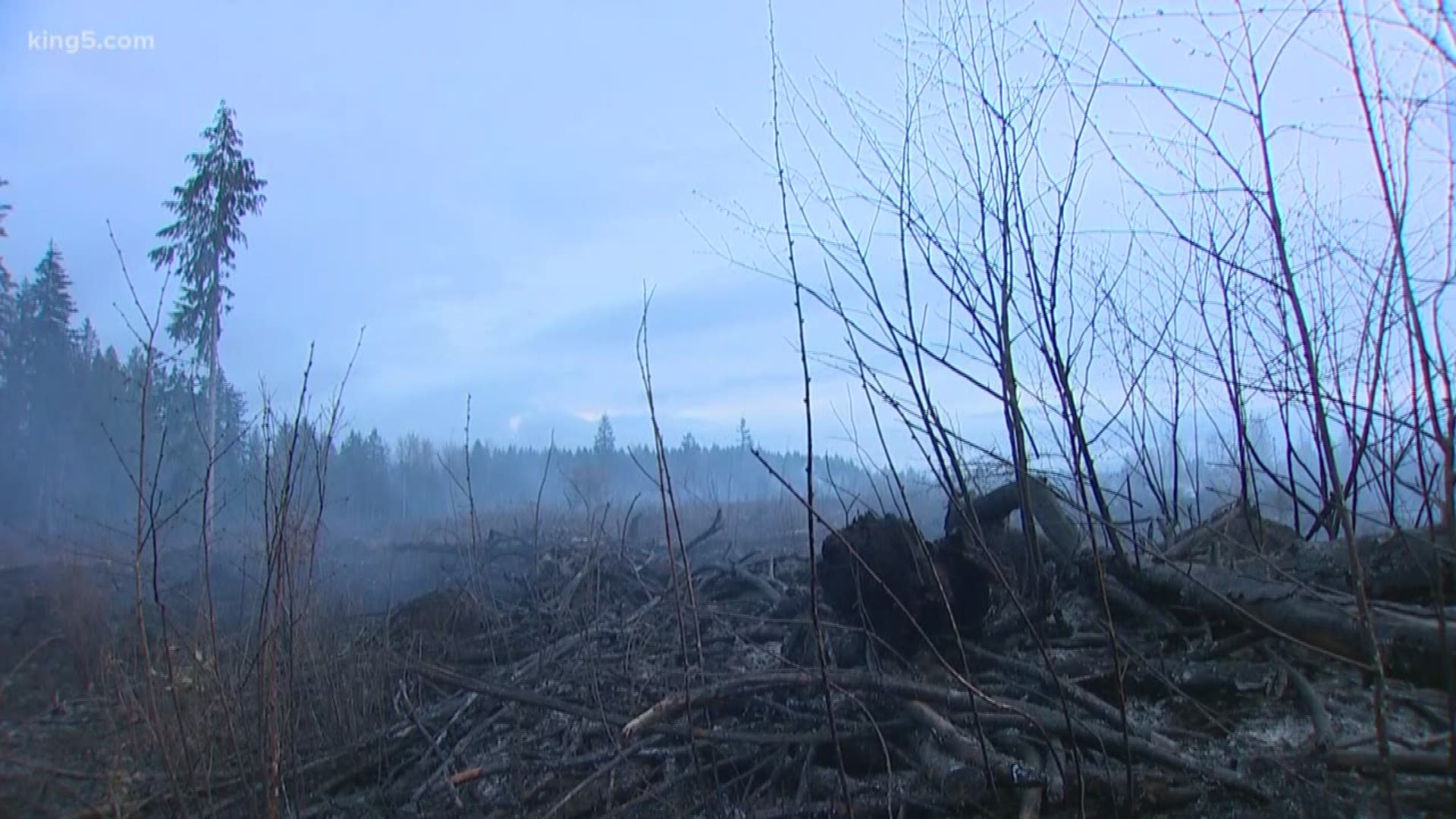 Dozens of fires across Washington this early in the season have firefighters and state officials concerned. On Thursday, NOAA issued an advisory saying we could be in store for a hotter and drier Spring than normal.