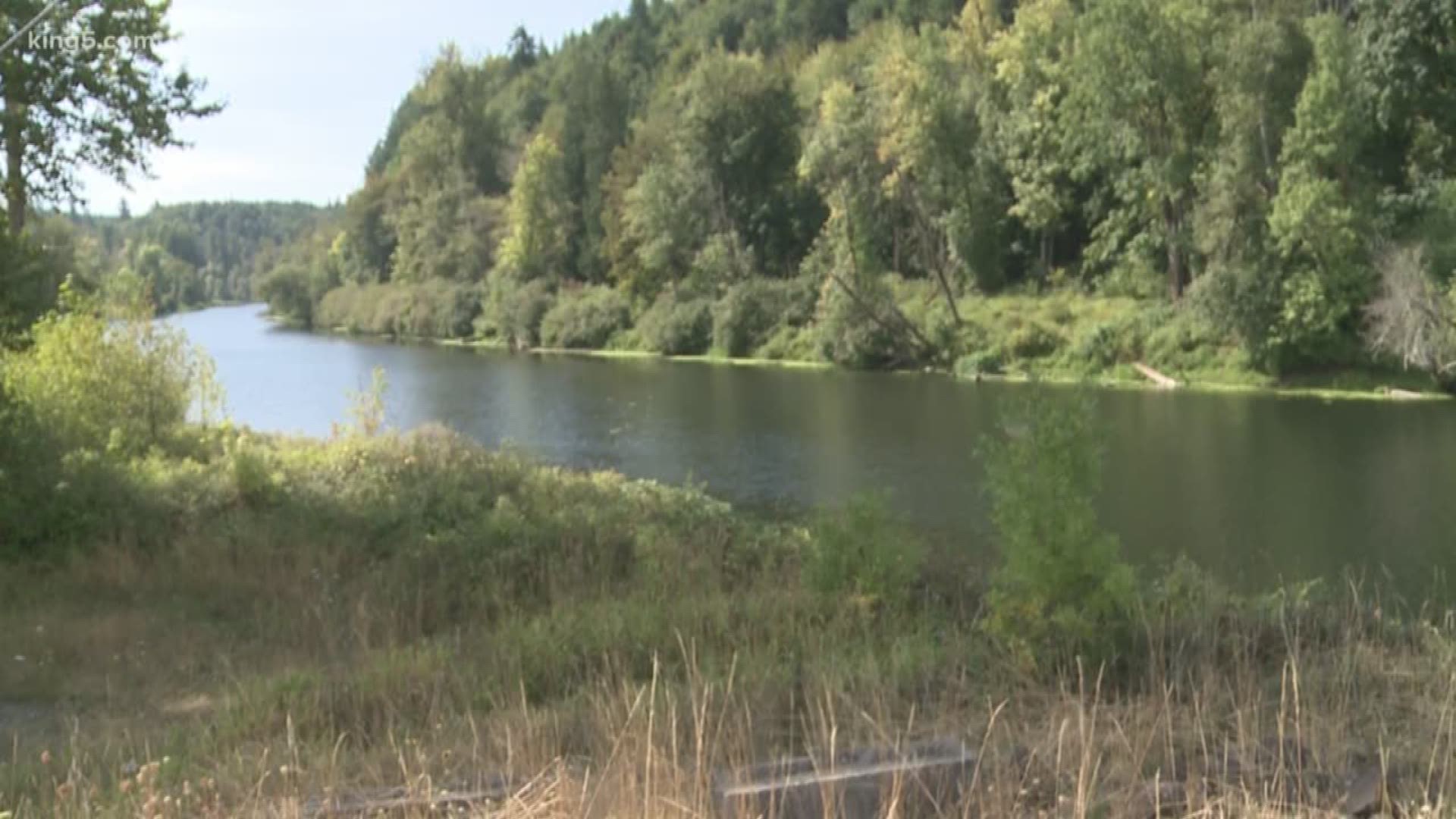 A dam proposed for the Chehalis River is drawing a lot of attention. The dam's purpose would be to reduce flooding in the area south of Pe Ell in Lewis County, but some worry it would hurt vulnerable fish.