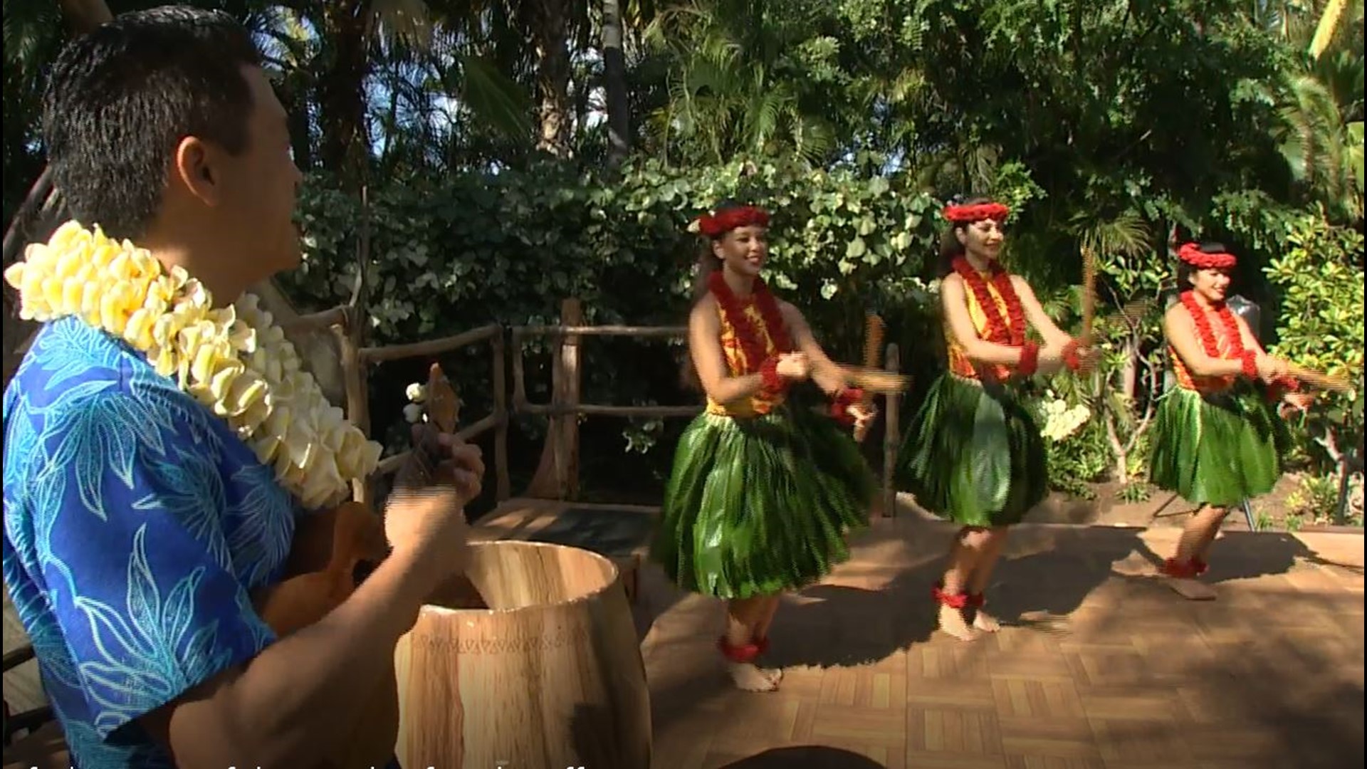 Visitors come away with an appreciation of this unique island culture.  Sponsored by Aulani, a Disney Resort and Spa.