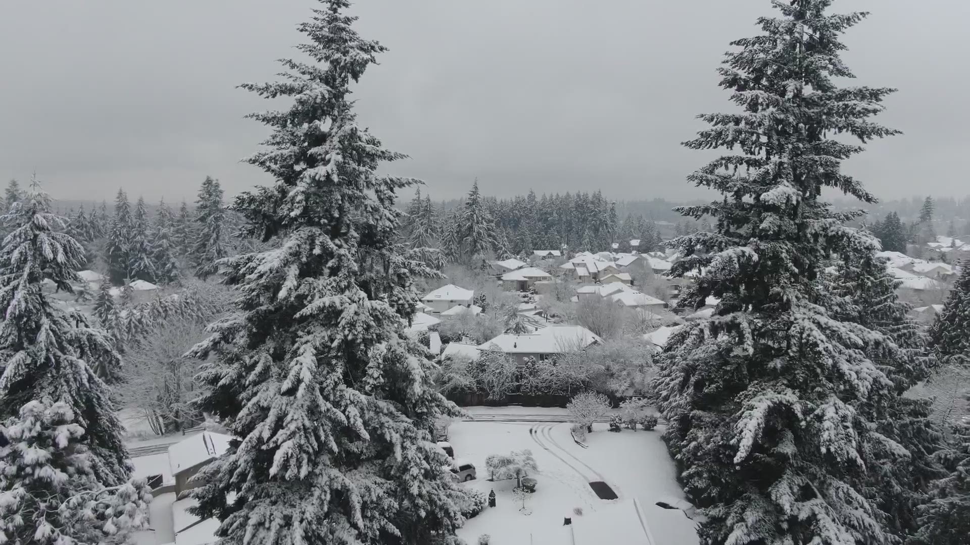 A KING 5 drone flew over snowy Snohomish County on Monday, January 13, 2019.