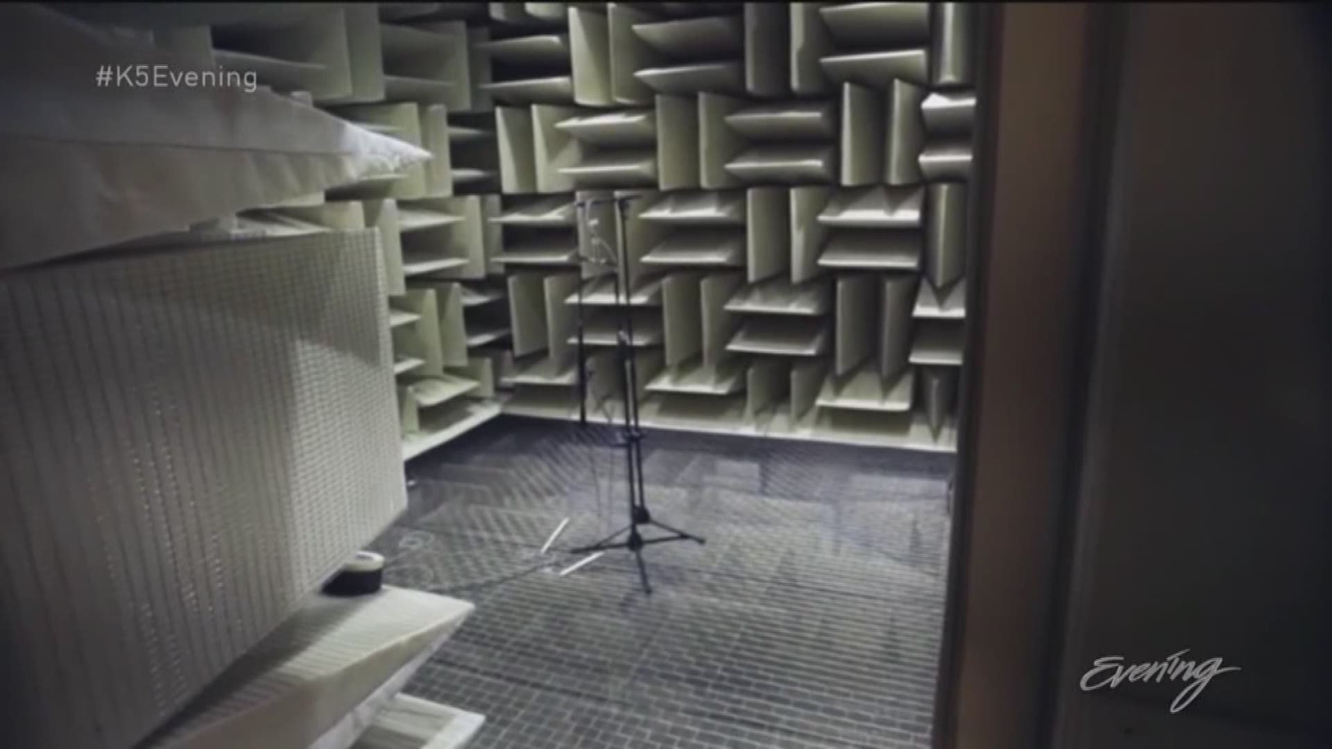 The world's quietest room at Redmond's Microsoft Campus