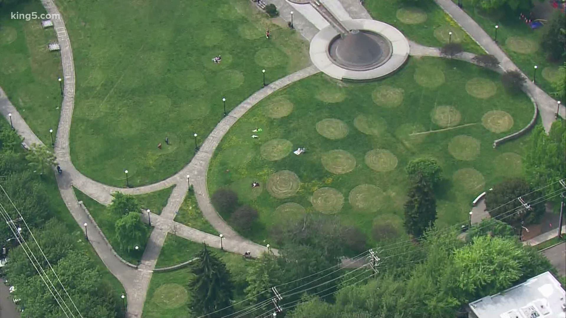 The circles mowed into the grass at Capitol Hill's Cal Anderson Park are meant to create 6 feet of distance between people who may want to sit down in the park.