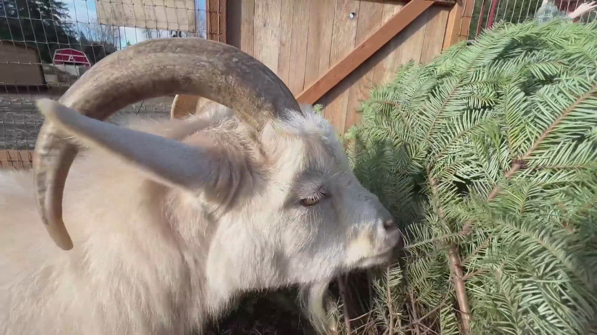 Richard Smallwood, Grammy-winning gospel giant covered by Whitney ...