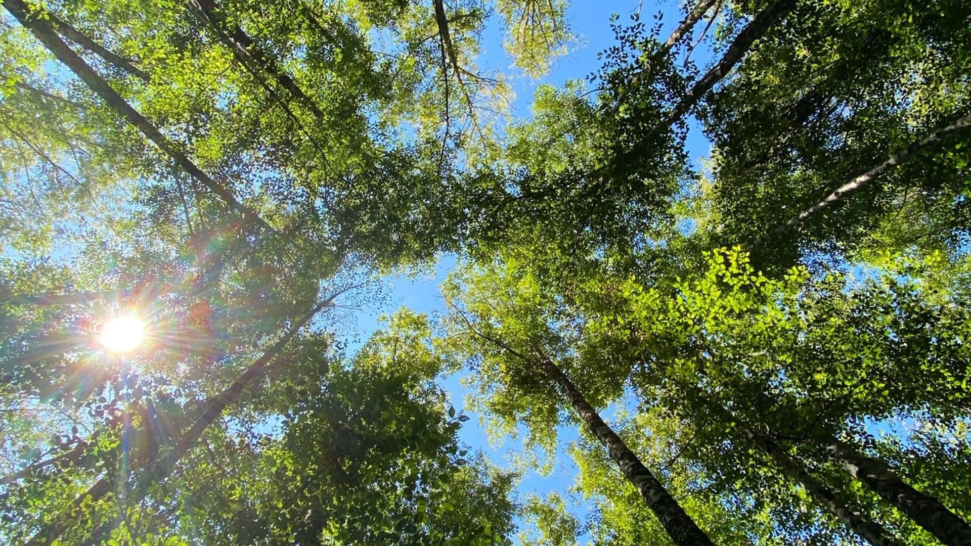 Earth Sanctuary on Whidbey Island offers a unique way to celebrate life. i