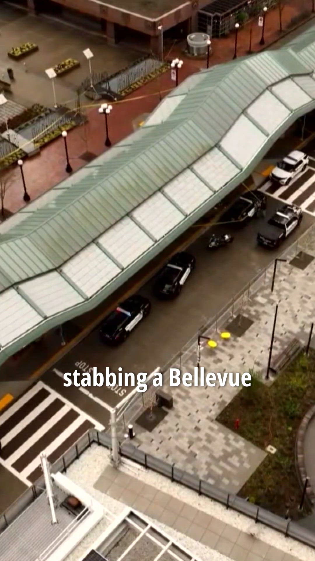 Man charged with stabbing Bellevue officer to appear in court | king5.com