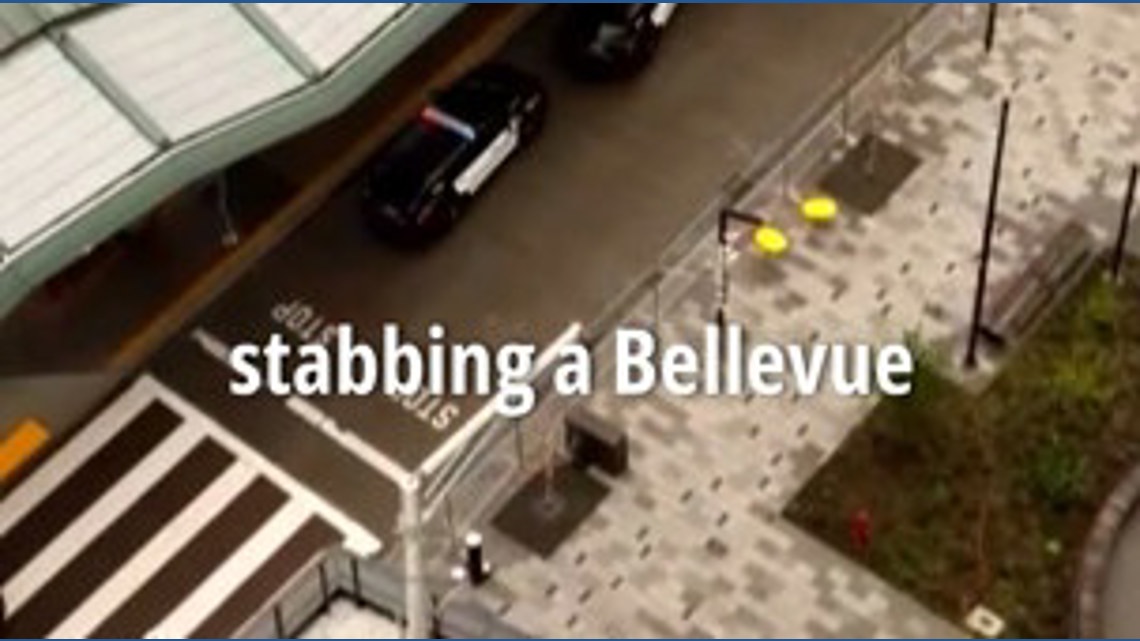 Man charged with stabbing Bellevue officer to appear in court | king5.com
