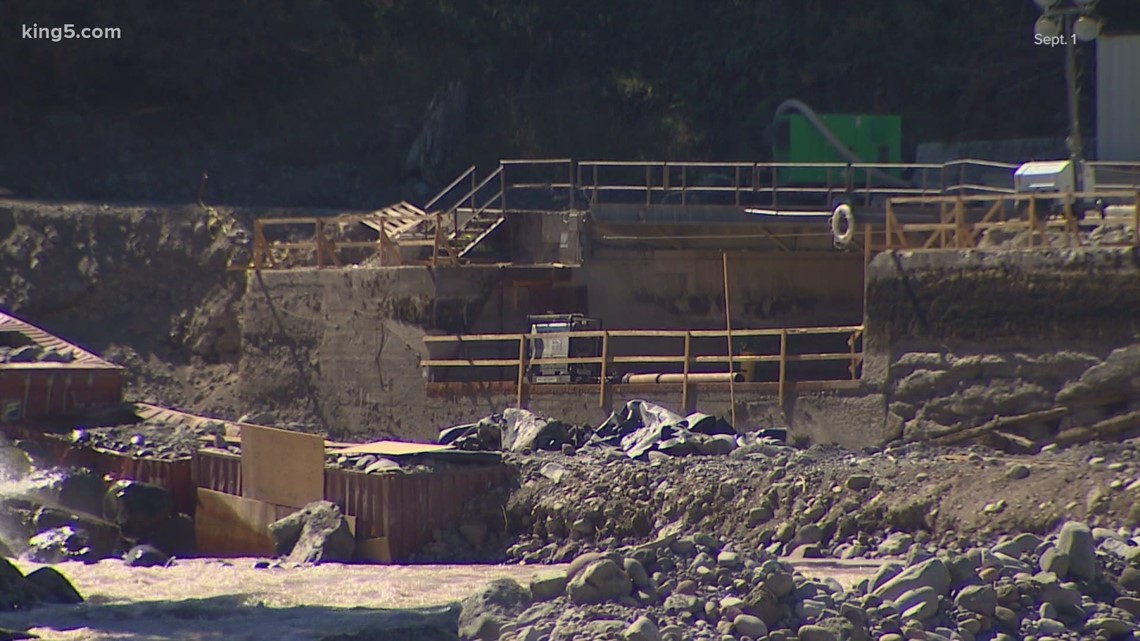 Puyallup Tribe sues Electron Hydro for polluting Puyallup River with crumb rubber - Vimarsana News