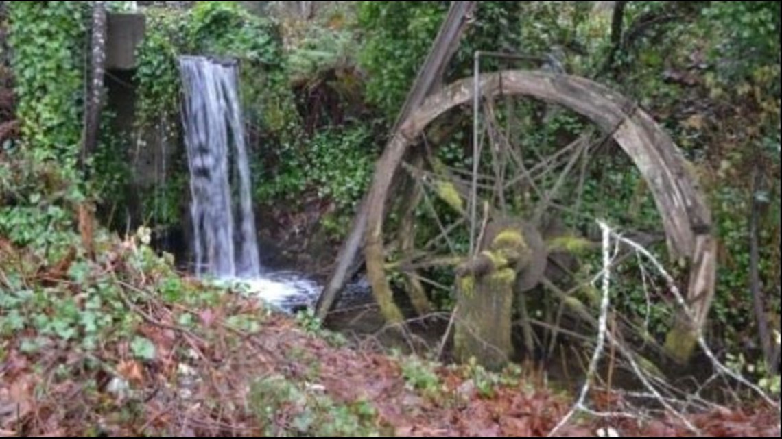 New park on tap in Belfair | king5.com