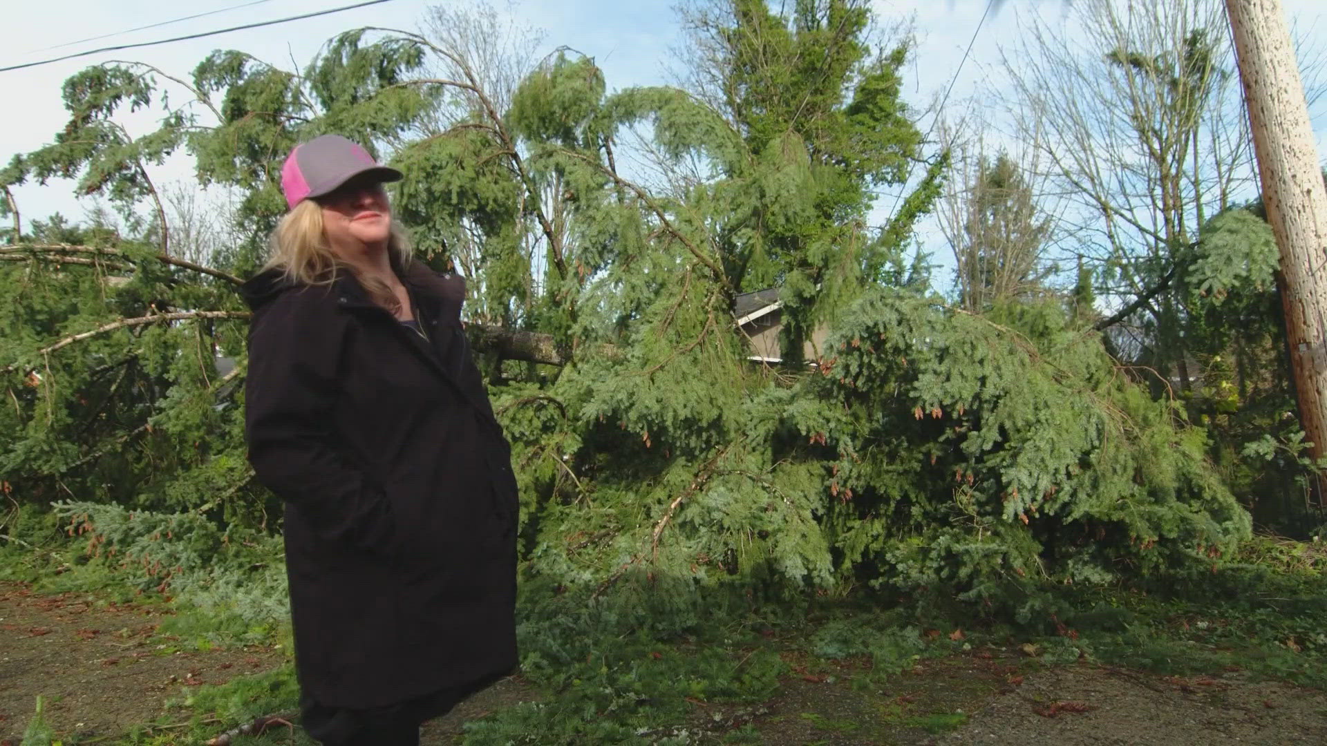 The storm knocked out power for hundreds of thousands in western Washington.