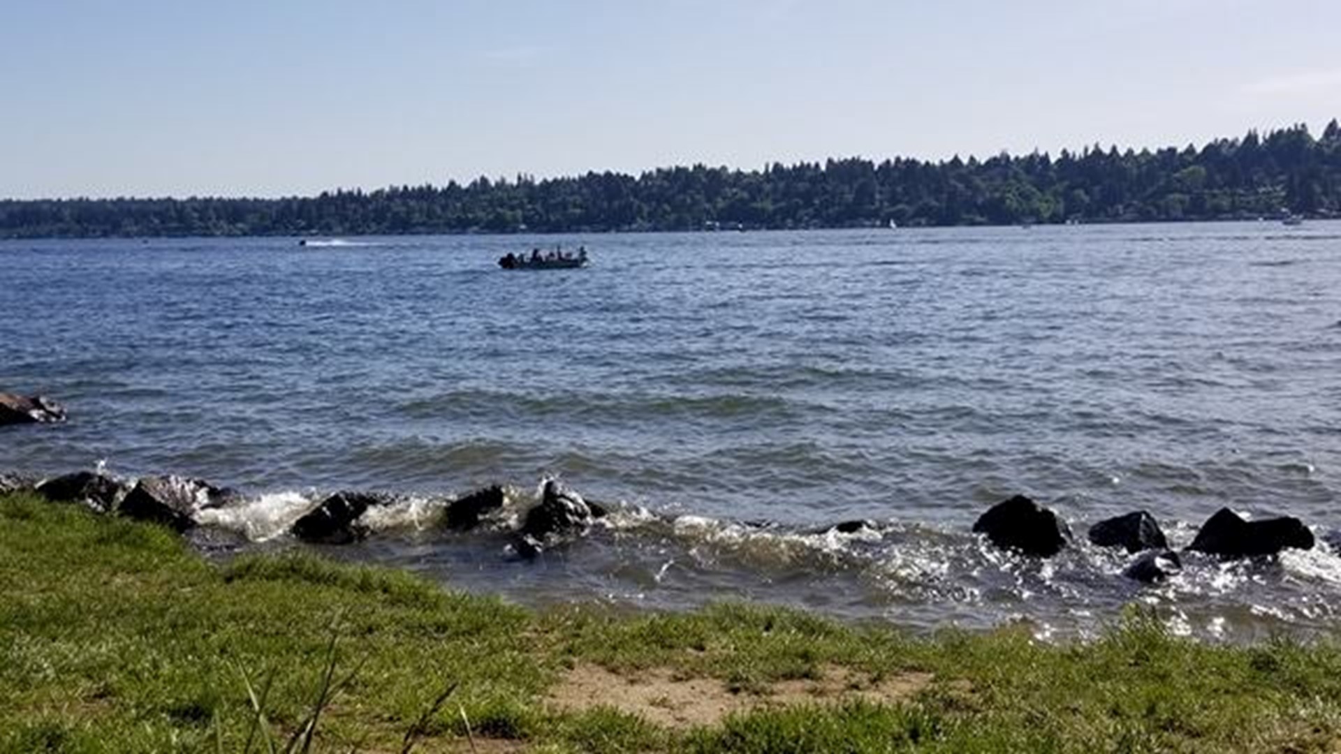 Lake Washington beaches closed for milfoil treatment