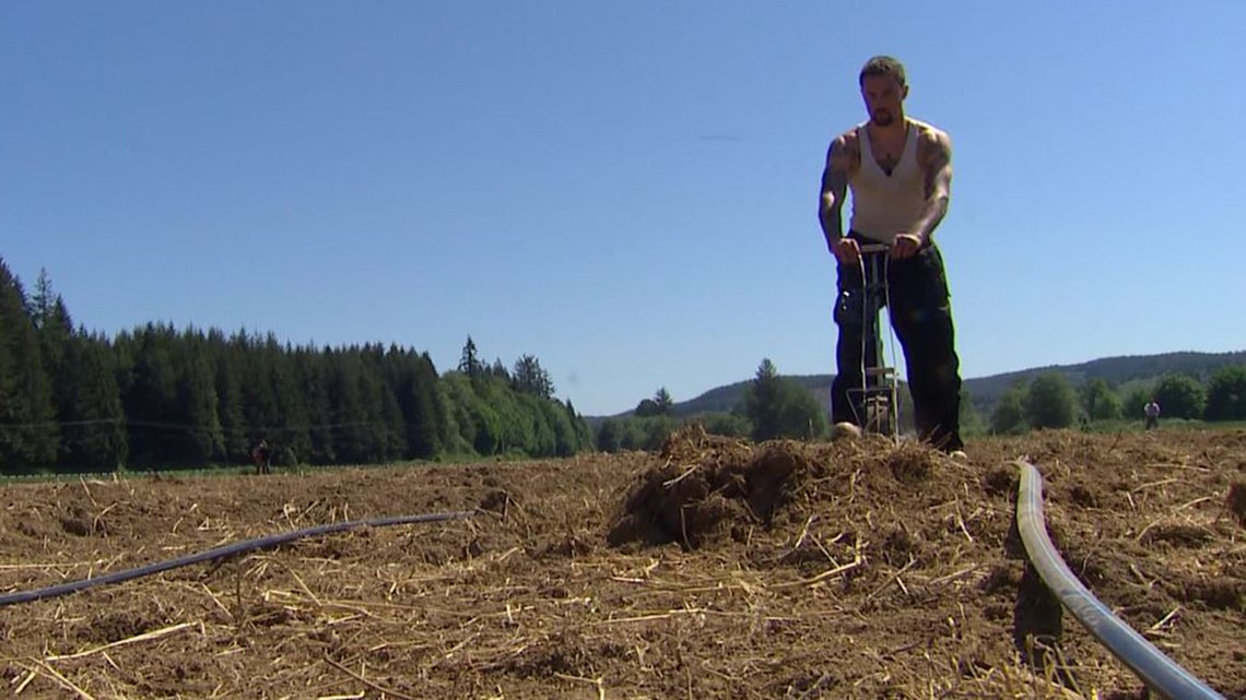 Grays Harbor farm gives people in poverty jobs, food