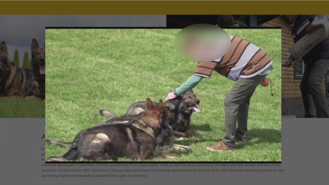 Christopher Railsback Dog trainer arrested after man shot, killed while filming commercial ...