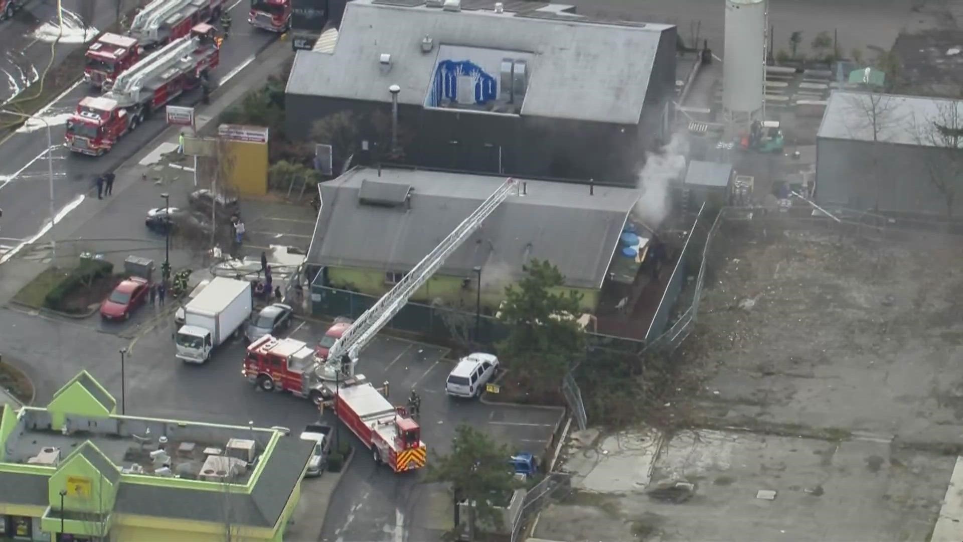 Dogs had to be evacuated and corralled at a nearby business after a fire started at "The Dog Resort" in Lake City on Wednesday