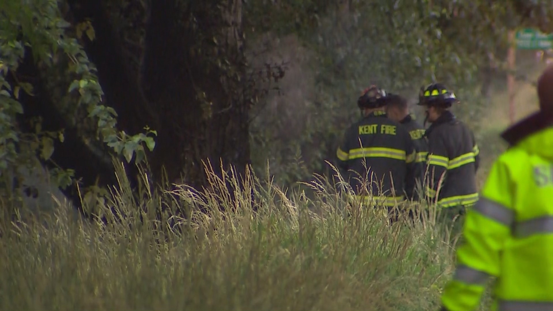 2 killed after car crashes into tree in Auburn | king5.com