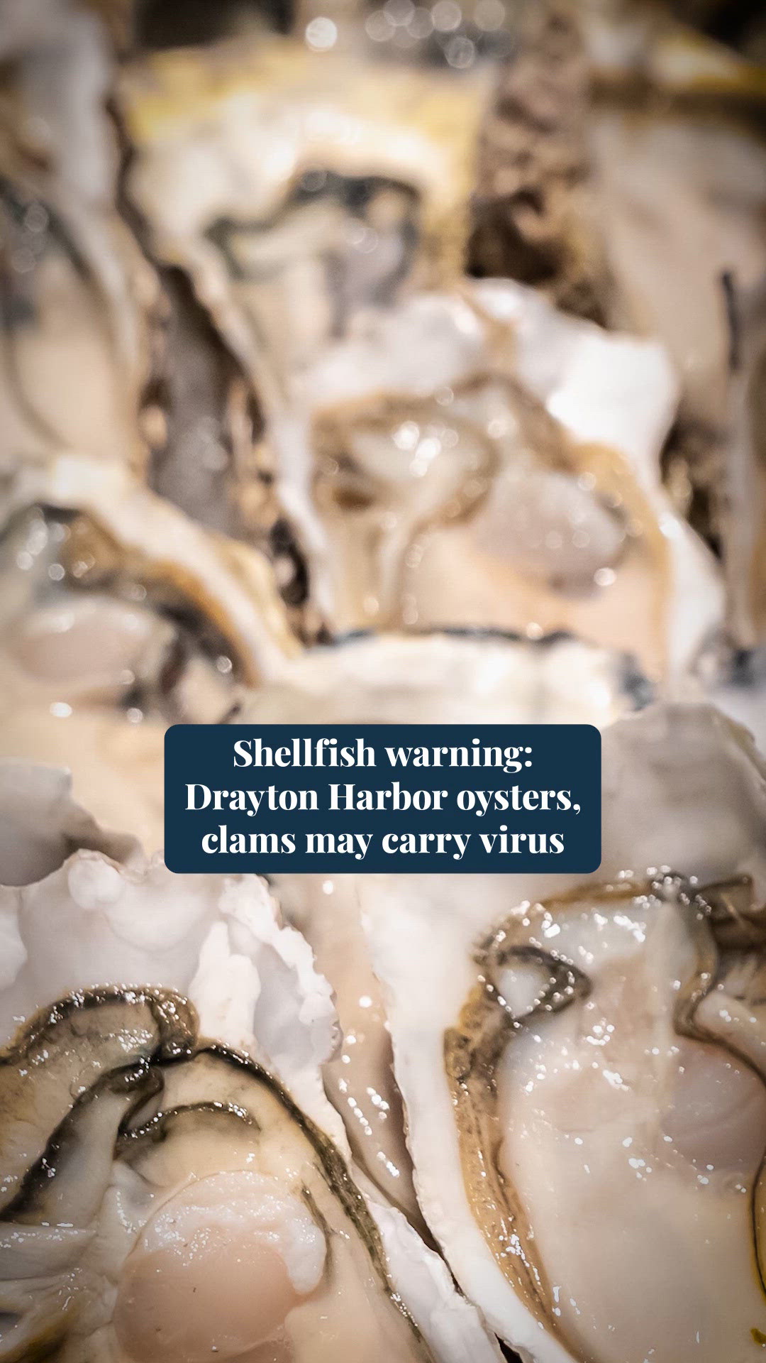 Shellfish High Risk FDA warns of norovirus risk in Washington shellfish | king5.com