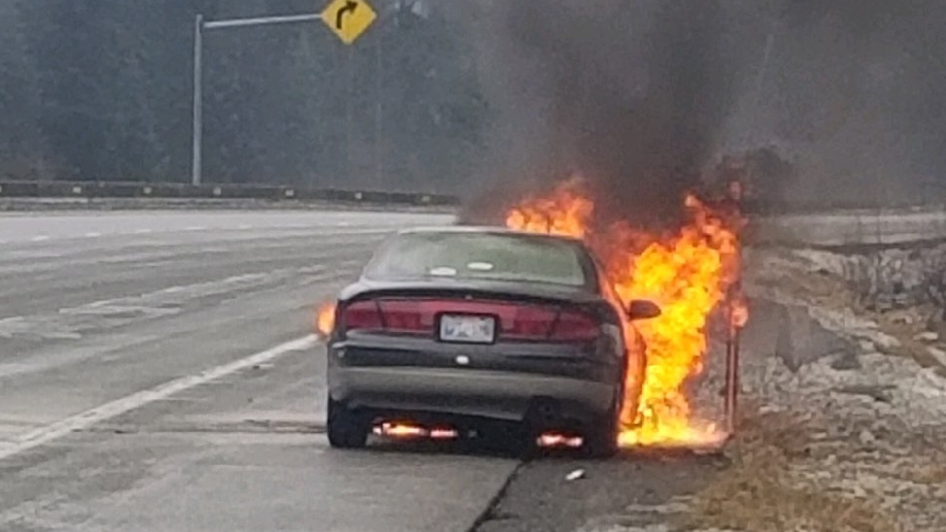Clallum County Correction Deputies Steve Brooks and Tyler Cortani were able to save an Oklahoma woman’s dog after her car erupted in flames on Thursday.