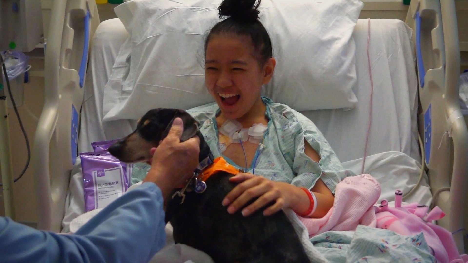 Seattle Children's honors its most valuable pups for National Dog Day ...
