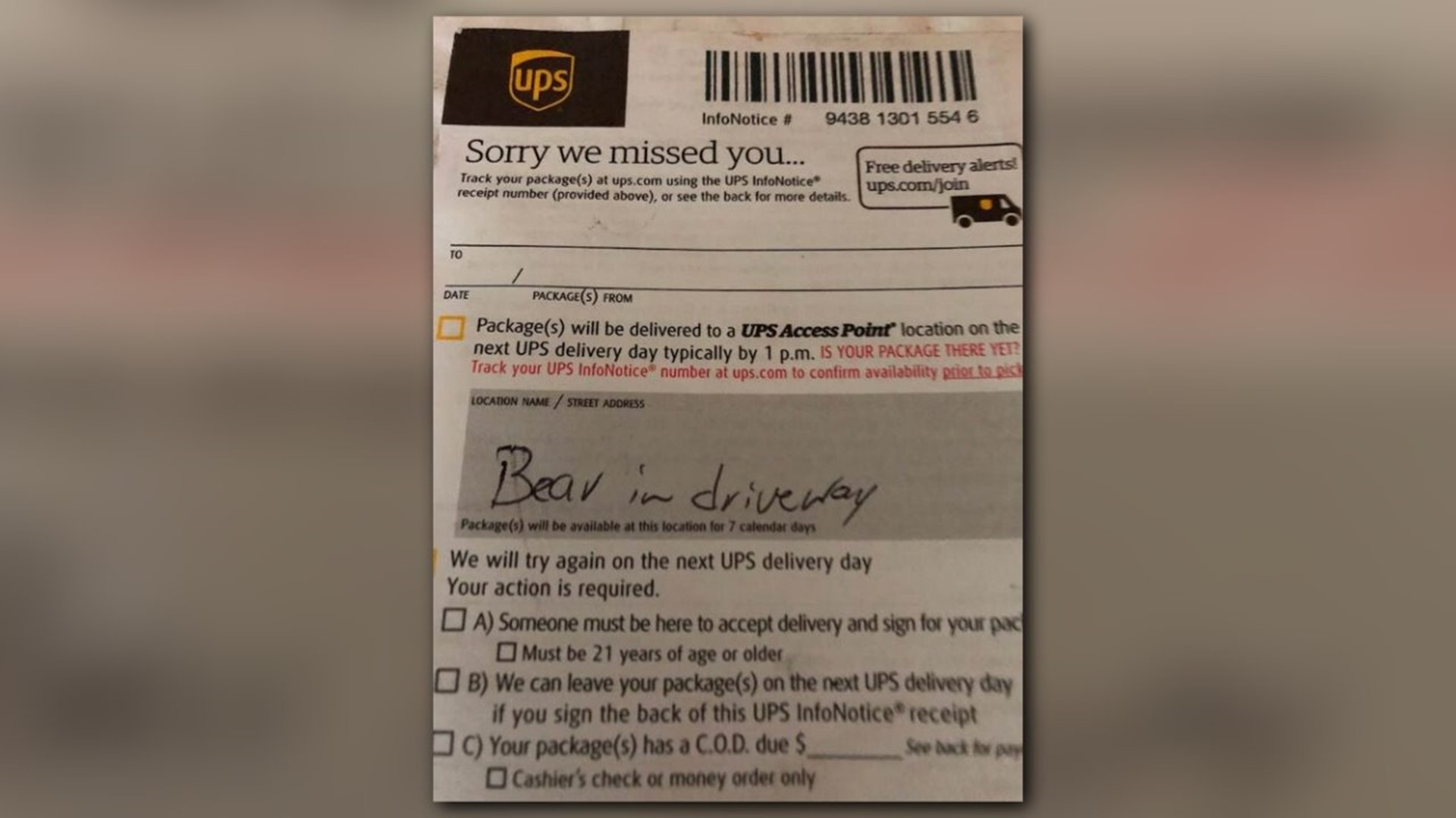 UPS driver leaves note after bear blocks delivery in North