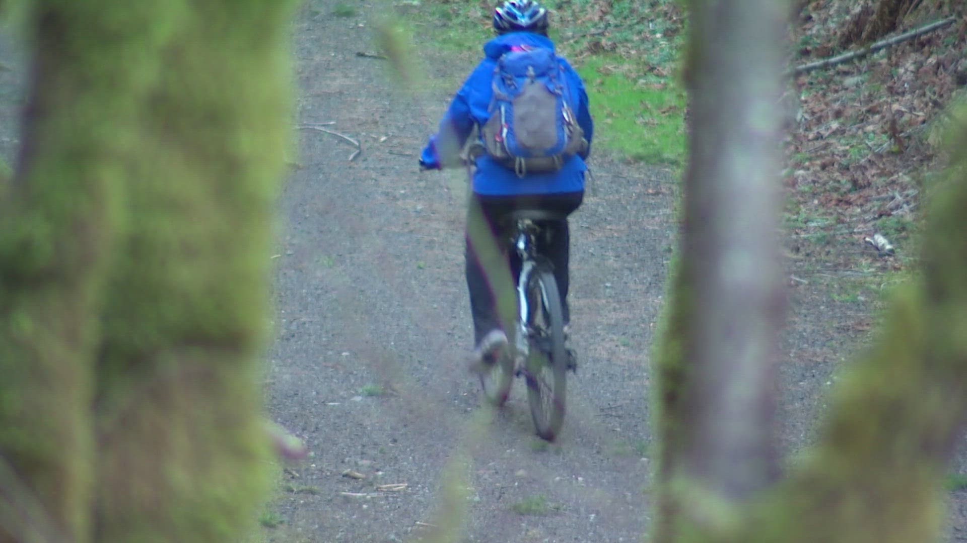 One of the mountain bikers in the group pinned down a cougar after the attack as a second cougar ran off into the forest, officials say.