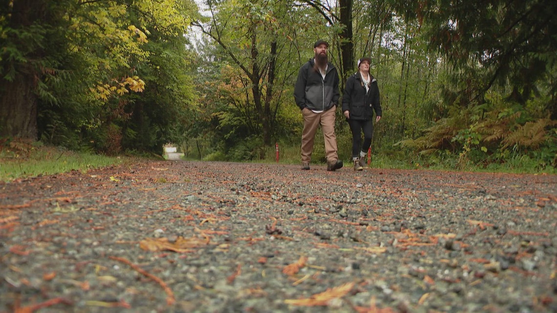 Over 50 miles of roads in Snohomish County to be repaved this summer