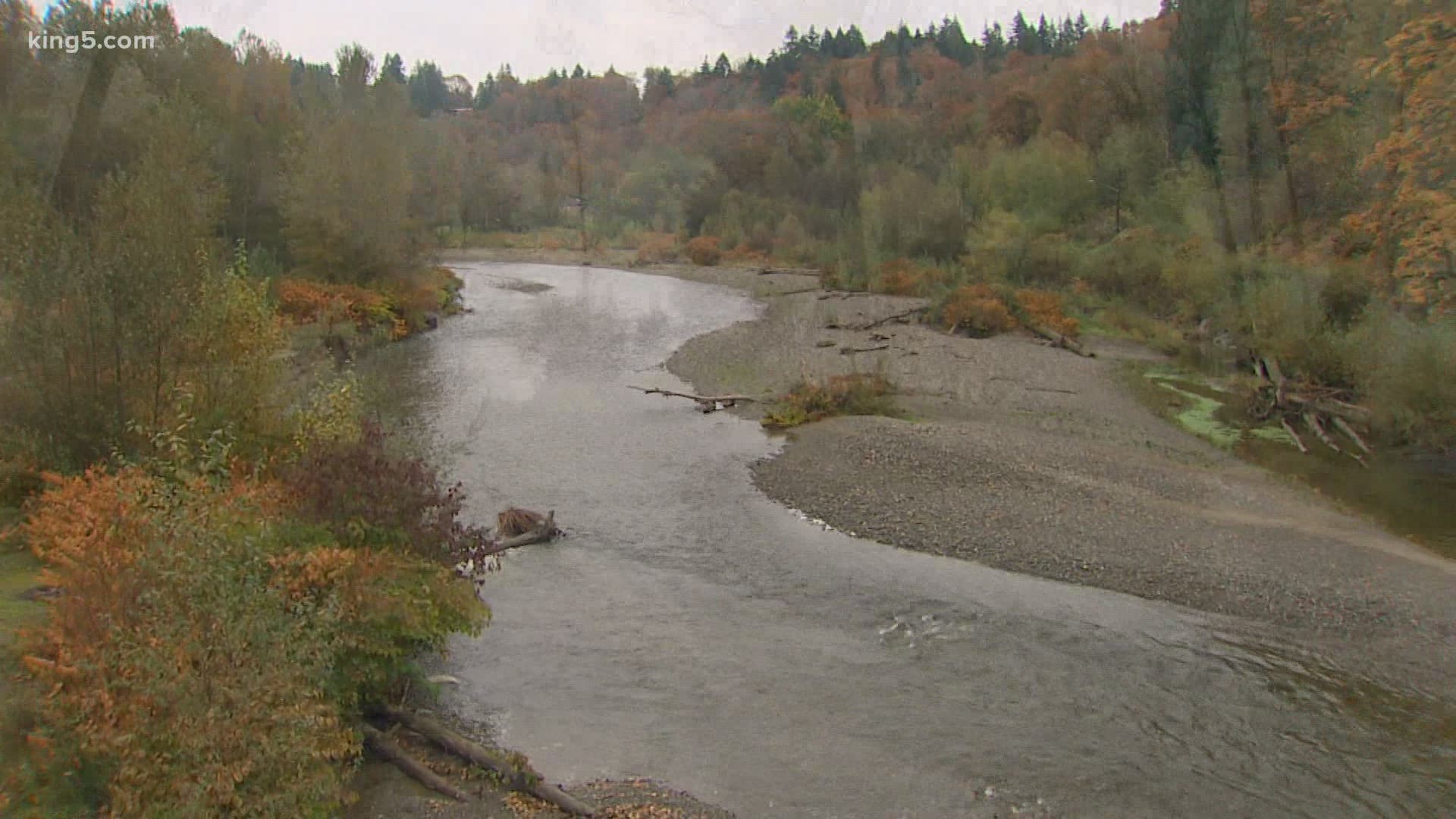 The Washington Department of Ecology is asking for the public's input on plans to cool the Pilchuck River and improve salmon runs.