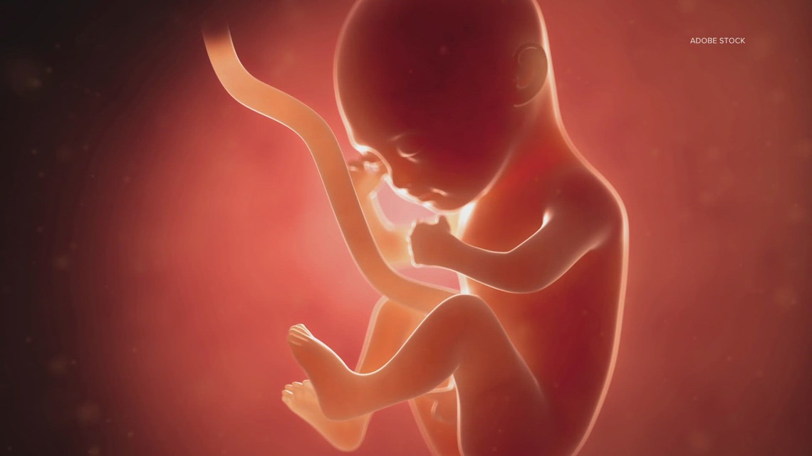 Smartphone app study shows promise in monitoring fetal heart rate: HealthLink