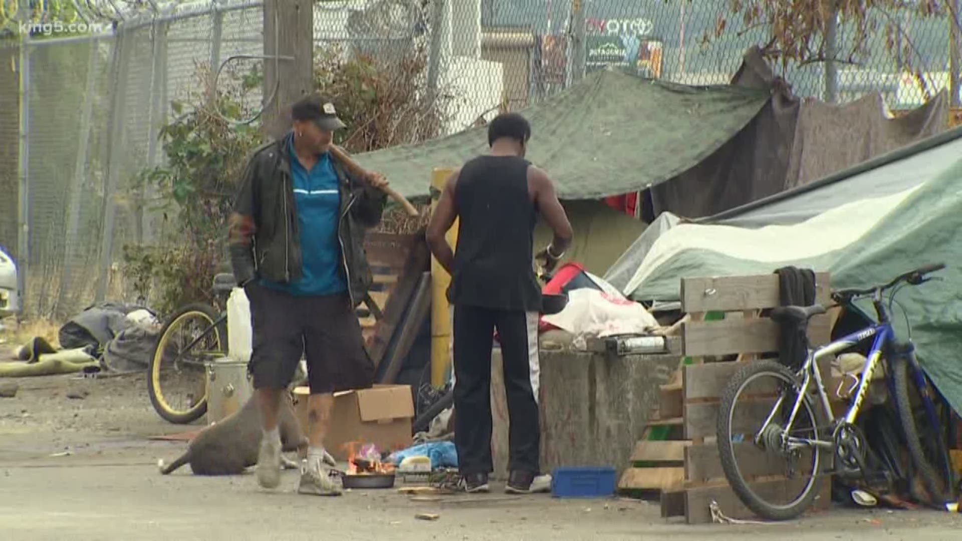 The city of Seattle said they have no plans to remove a homeless encampment along Utah Ave. S., a stretch of road that becomes a popular place for tailgaters.