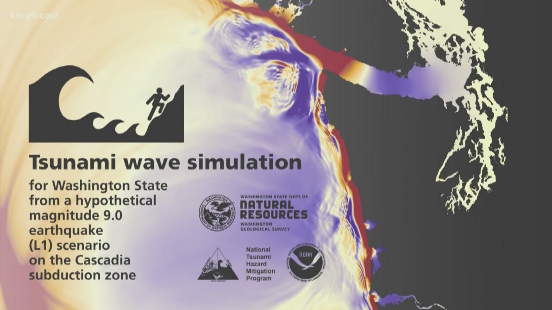 Simulations from the Washington Geological Survey shows where large tsunami waves triggered by an earthquake will hit Washington state. KING 5's Glenn Farley reports.