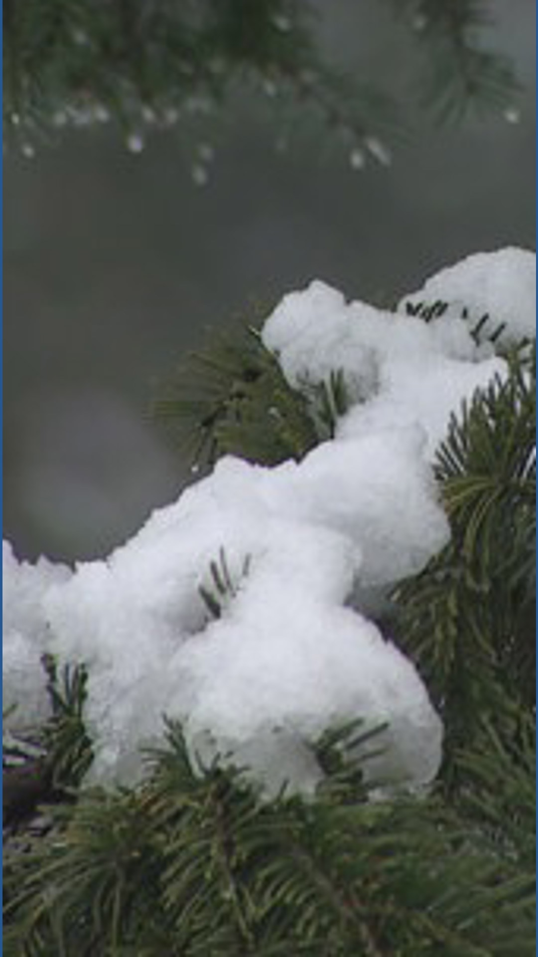Late season snowfall brings hope to skiers | king5.com