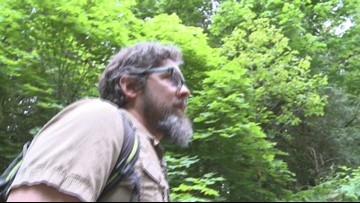 박쥐 죽이는 곰팡이 워싱턴 주에서 전국으로 퍼져