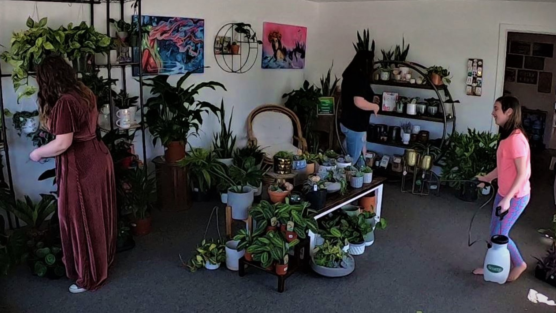 ReRooted has grown from a single succulent arrangement made by owner Krissy Brown to a small storefront. #k5evening
