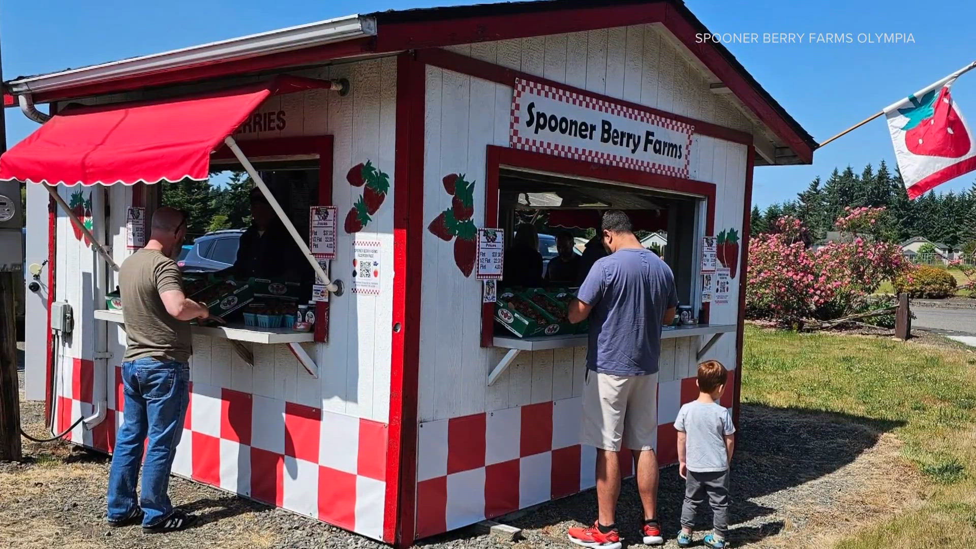 Stand First Examples Berry farm owners in Olympia looking to city council to keep stand open ...