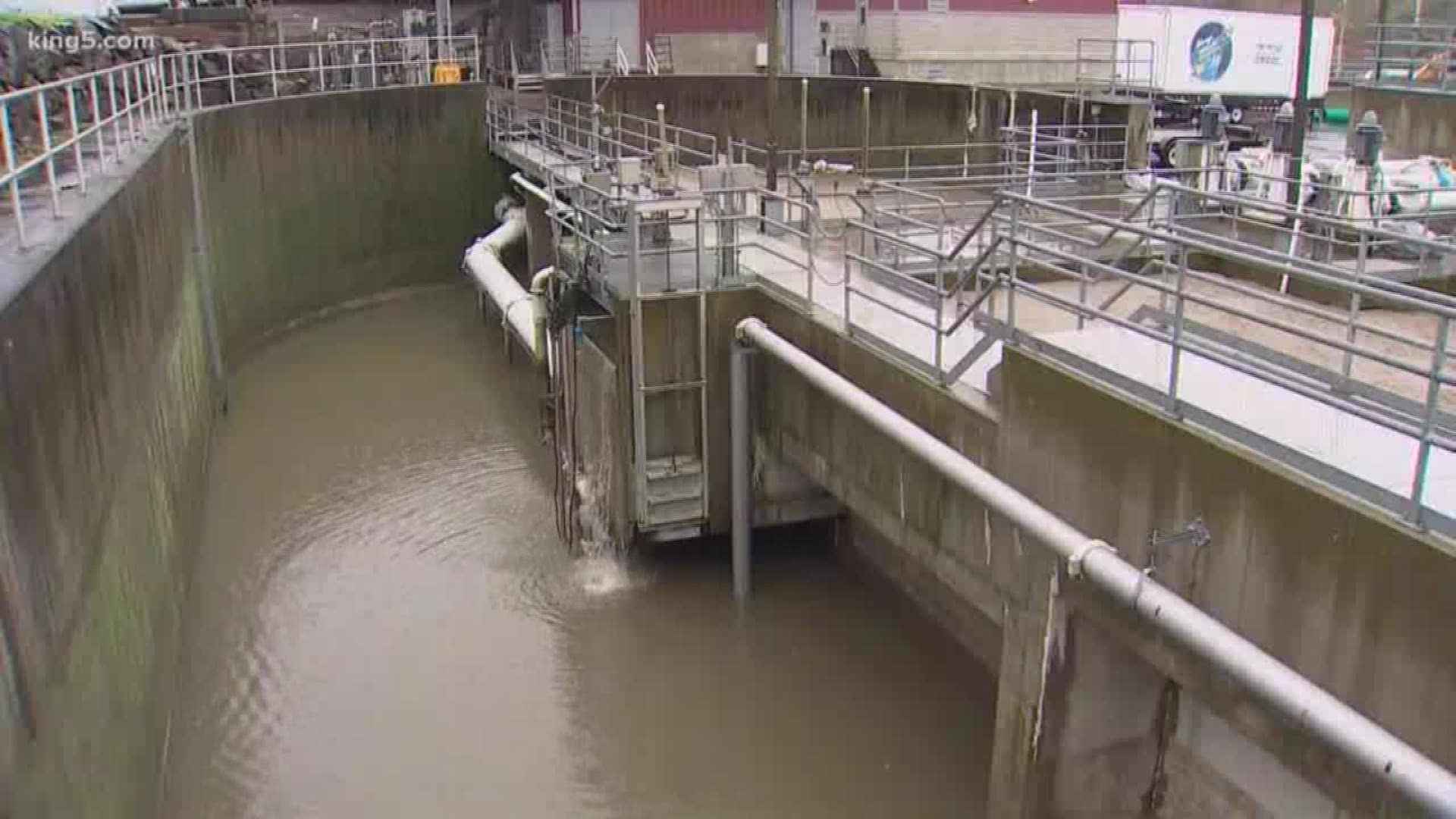 The city of Duvall's wastewater treatment plant began processing more than 2 million gallons of water due to heavy rain and flooding.