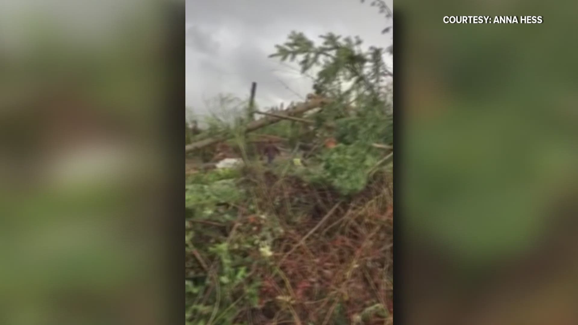 The National Weather Service confirmed a tornado caused damage in Kitsap County Tuesday afternoon.