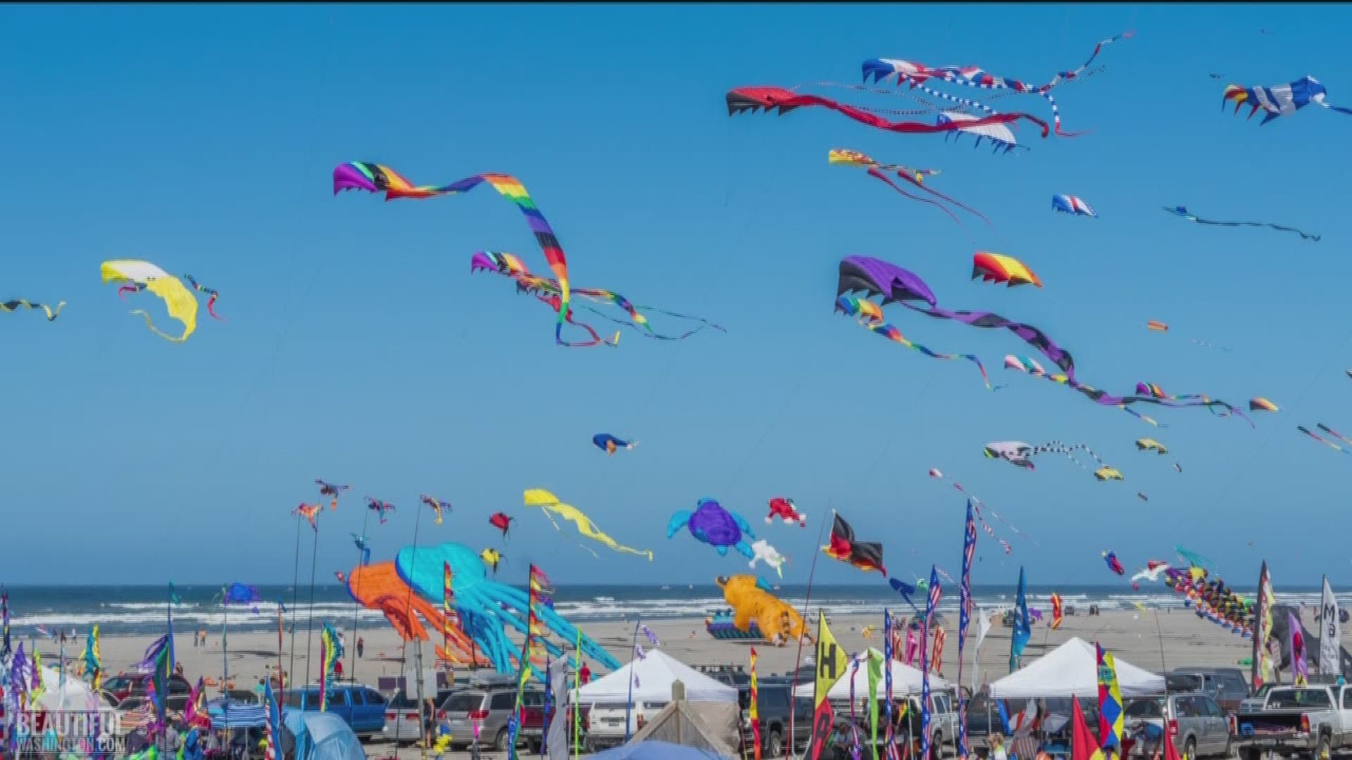 The Long Beach Kite Festival and the Bite of Seattle are just a few ways you can experience summer in the Pacific Northwest. Sponsored by AAA Washington.