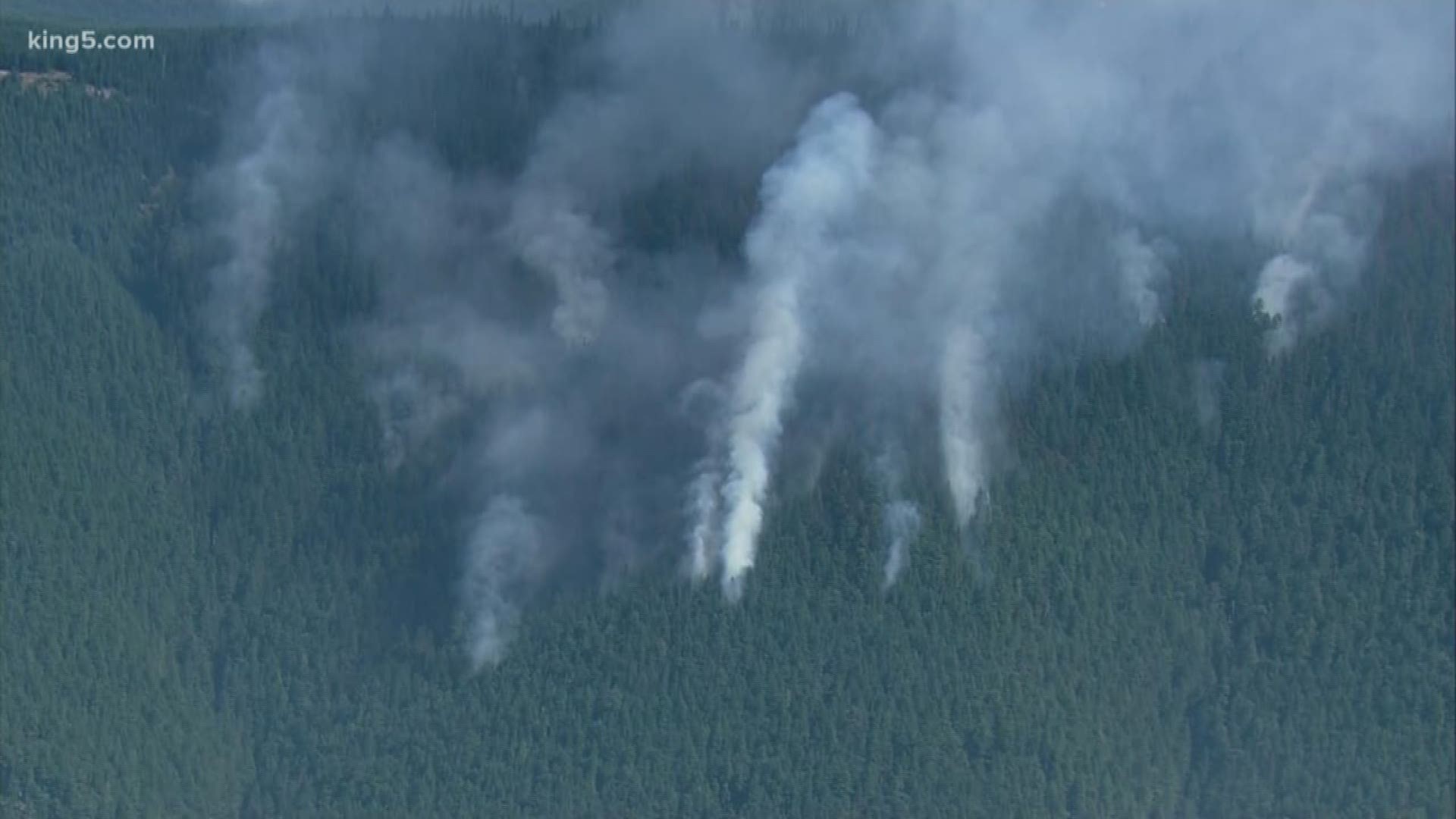 As the National Interagency Fire Center continues to warn that Western Washington is at above normal risk for wildfire, scientists are already at work trying to learn more about the impact of climate change on big fires in west side forests that are different from most of the western United States. KING 5's Glenn Farley reports.