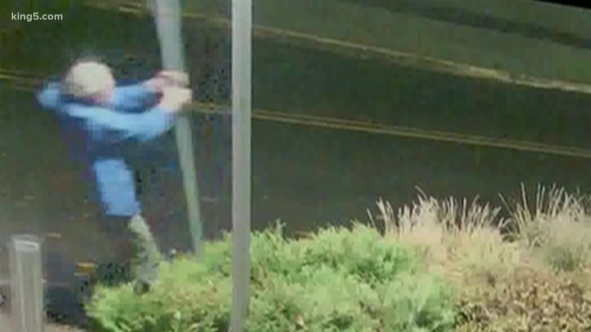 Surveillance video shows a man vandalizing buildings at the state Capitol campus in Olympia.
