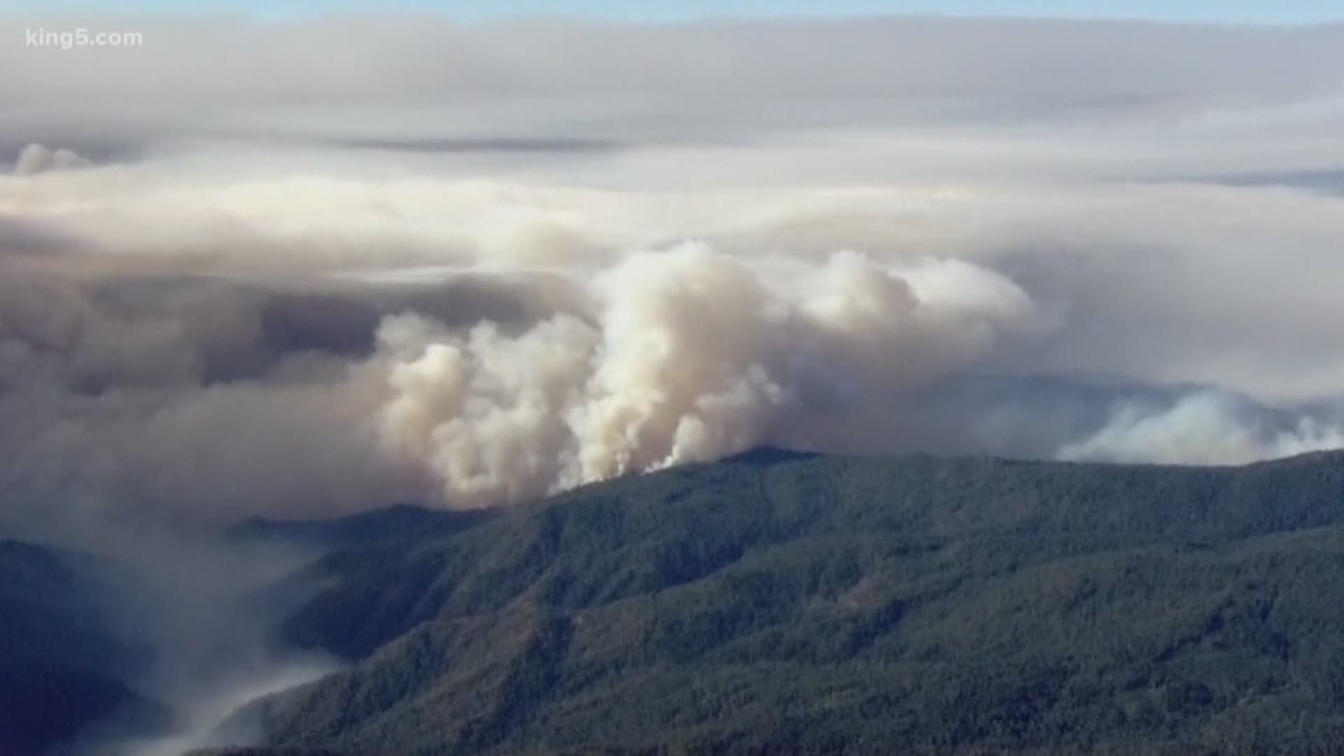 Filmmakers from California are looking to Olympia to help survivors of that "Camp Fire." The husband and wife grew up in Olympia. And as South Bureau Chief Drew Mikkelsen found out, they're looking for some hometown support for some of the fire's forgotten victims.