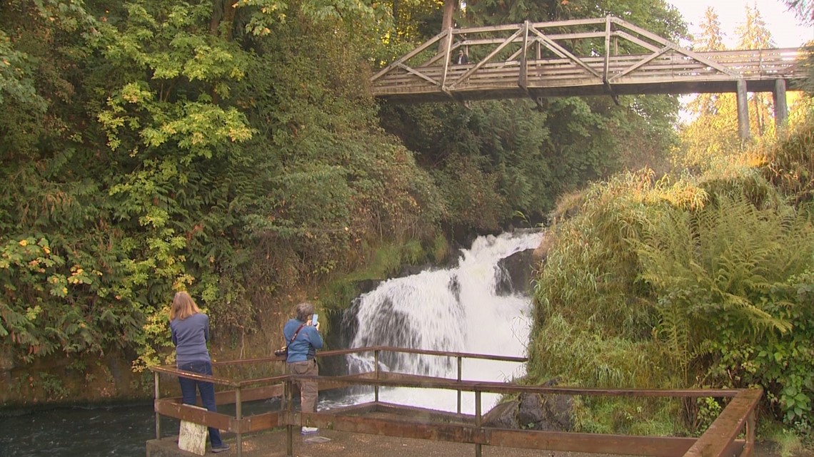 Tumwater Falls Park in Olympia is the perfect place to soak up nature