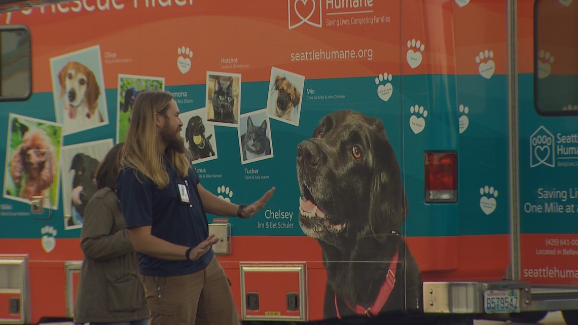 Pets rescued from Hurricane Michael arrive in Seattle for adoption ...