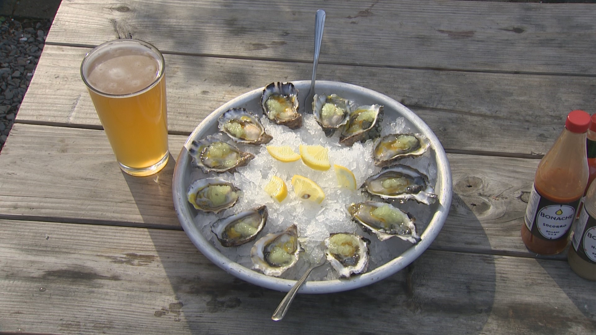 Delish Day Trip Scenic Drive to Hama Hama Oyster Saloon