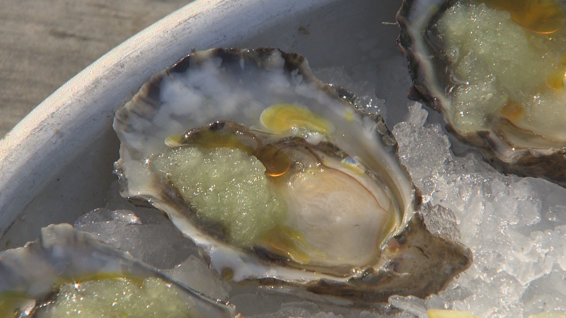 Delish Day Trip Scenic Drive to Hama Hama Oyster Saloon